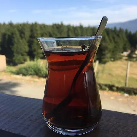 Acisu Cafe Konaklama Country house